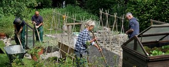 Gartenarbeit: eine Frau und drei Männer arbeiten am Gemüsebeet