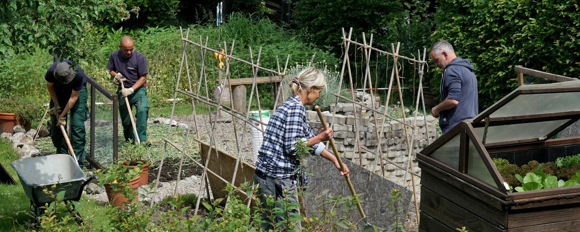 Gartenarbeit: eine Frau und drei Männer arbeiten am Gemüsebeet