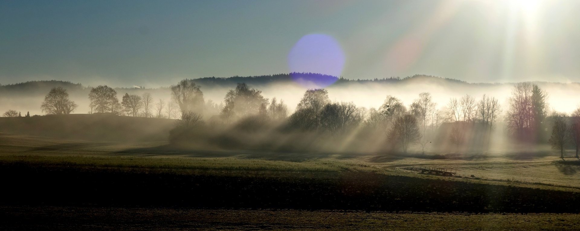 Blick auf einen Wald, der im Morgennebel liegt - Sonnenaufgang dahinter